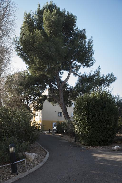 Ferienwohnung Les Gemeaux Avignon Exterior foto